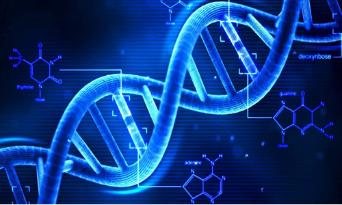 Systèmes pharmaceutiques d'eau purifiée en biotechnologie